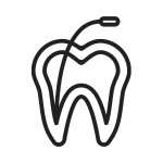 Endodoncia-Dentistas-En-La-Paz-Baja-California-Sur